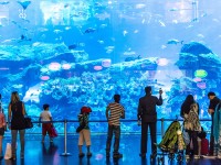 Atlantis_Waterpark_Aquaventure_and_Lost_Chamber_Combo_skylink_travel_oran_algerie.jpg